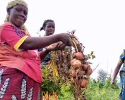 SEMI DI FUTURO Un nuovo progetto agricolo per le donne del Rwanda contro insicurezza alimentare, malnutrizione e povertà