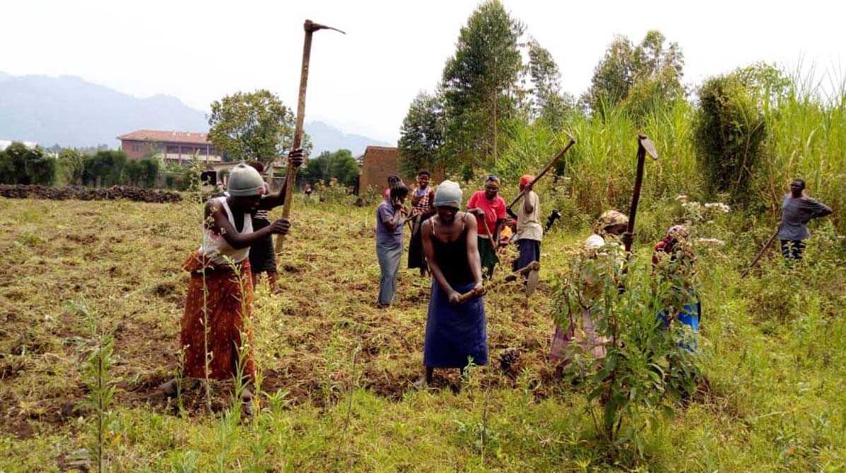 agricoltura rwanda