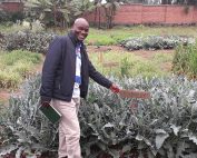 Semi di futuro: i progetti che stanno cambiando la vita delle famiglie in Rwanda